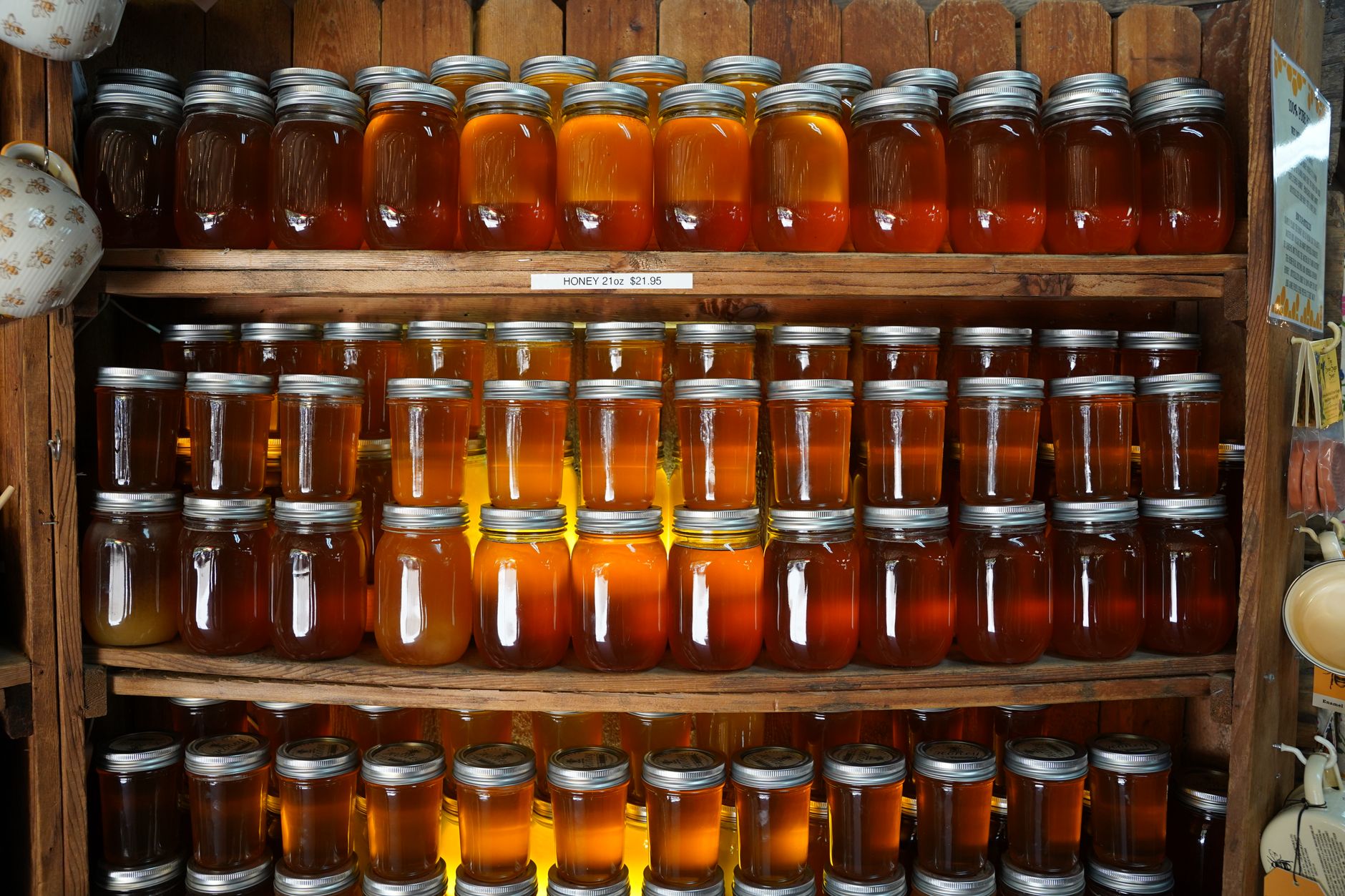 Food Banks Are Changing: How UK Community Larders and Pantries Differ From Traditional Models